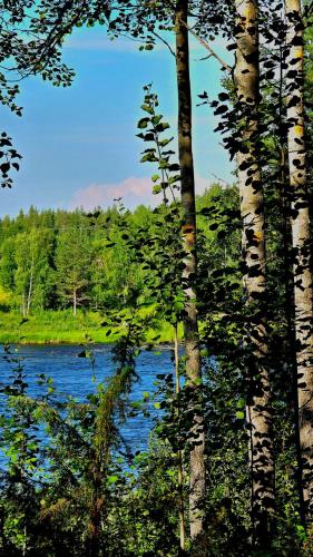 a view of a river through a group of trees at Sky Lodging ~ sleeping under the stars in Rovaniemi