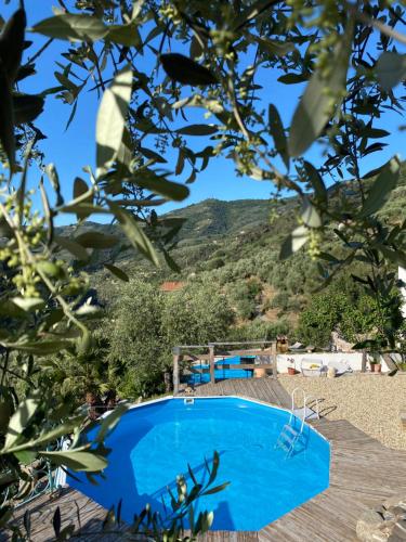 Πισίνα στο ή κοντά στο Agriturismo Colline Morghetta