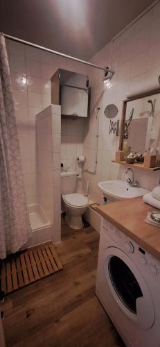 a bathroom with a toilet sink and a washing machine at L'Eldorado du Léman in Annemasse