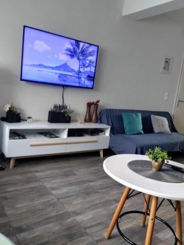 TV a/nebo společenská místnost v ubytování V&S Apartments