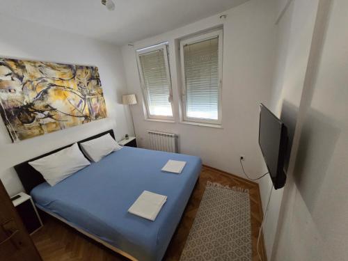 TV a/nebo společenská místnost v ubytování Apartman Veselinovic Free PARKING