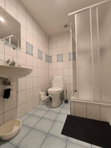 a bathroom with a toilet and a sink and a shower at Privat U Milana Hlavná 316 in Ždiar