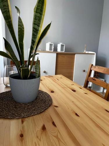 Apartament Ekonomiczny