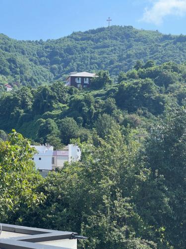 a house on top of a hill with trees at Best place in gonio in Gonio