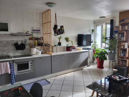 une cuisine avec des placards en acier inoxydable et un four micro-ondes dans l'établissement Appartement Ivry la Bataille, à Ivry-la-Bataille
