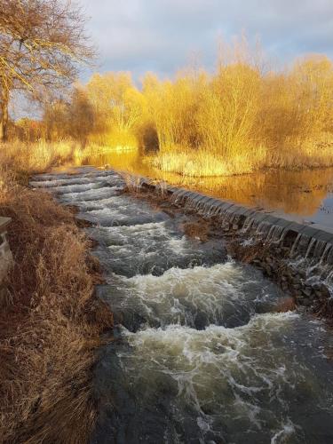 a river with rapids on the side of it at Bungalow am Hellbach XL im Ostseeland in Neubukow