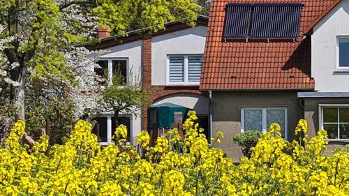 Ein paar gelbe Blumen vor einem Haus. in der Unterkunft Landhaus am Bauernhof im Ostseeland in Boldenshagen