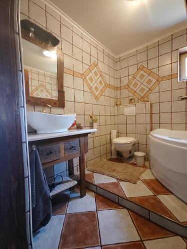 a bathroom with a sink and a tub and a toilet at RichiLak in Visegrád