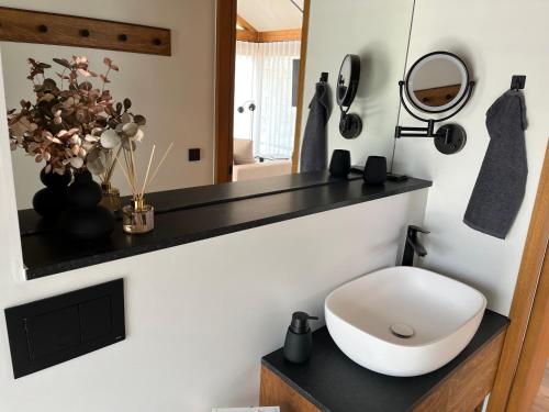 a bathroom with a sink and a mirror at Lake view ODYL Holiday House with Sauna and Seasonal Hot-tub in Pindi