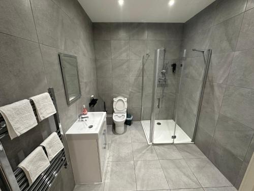 a bathroom with a shower and a toilet and a sink at Midland Apartments - Luxury Large Entire Unit Sleeps 4 in Luton