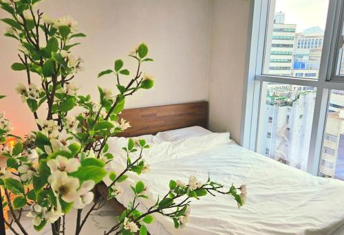 a bedroom with a bed and a window and a plant at Majestic Seoul Stay Central in Seoul