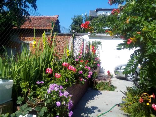 Κήπος έξω από το Aleks Guest House