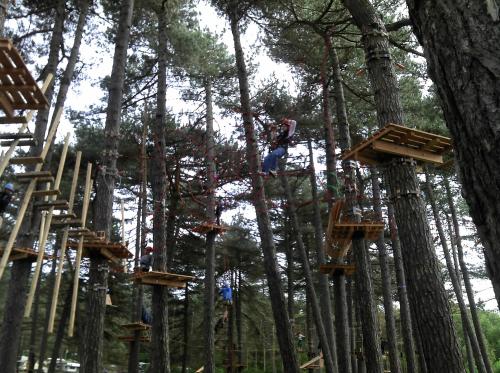 a group of wooden trees with people on them at Pension Haus Erika in Cuxhaven