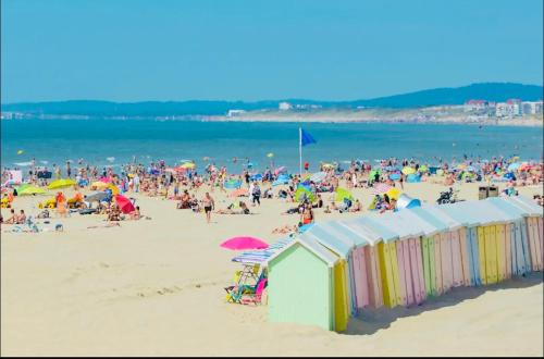 a large crowd of people on a beach at le chant de la rivière in Abbeville
