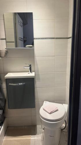 a bathroom with a white toilet and a sink at Mini studio et espace extérieur in Méry-sur-Oise