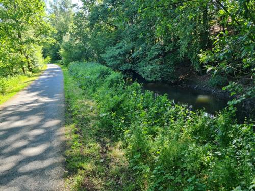 a dirt road next to a river with trees at Hygge Apartment in Warstein