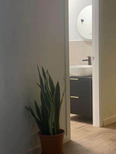 a potted plant in a bathroom with a sink at Casa luna in Chiclana de la Frontera