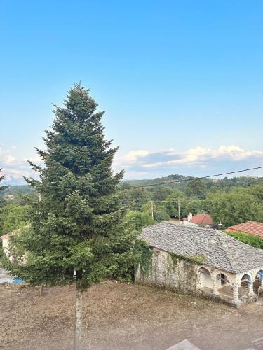 a large pine tree next to a stone building at Areti Guesthouse in Víssani