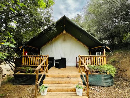 Zahrada ubytování New Camping Coccorrocci