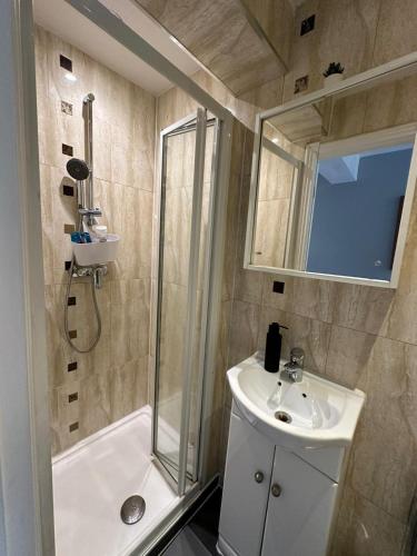 a bathroom with a shower and a sink and a mirror at Cosy 2 BEDROOMS Apartment in London