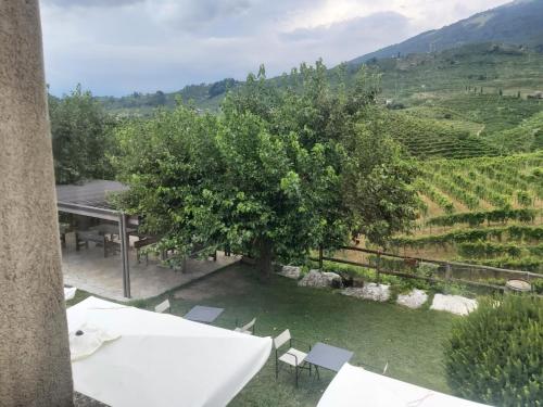 Γενική θέα στο βουνό ή θέα στο βουνό από  αυτό το κατάλυμα σε φάρμα