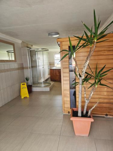 ハンティスバイにあるDesert Roseの部屋の中の鉢植えの植物