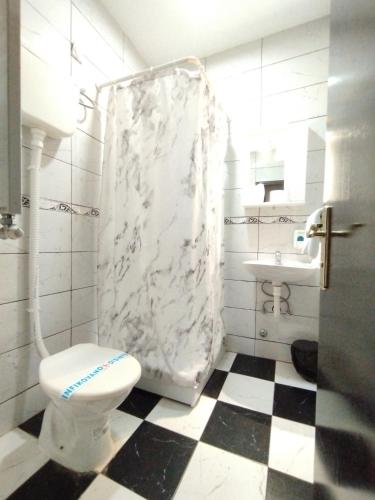 a bathroom with a toilet and a sink at Hotel Vojvodina in Novi Sad