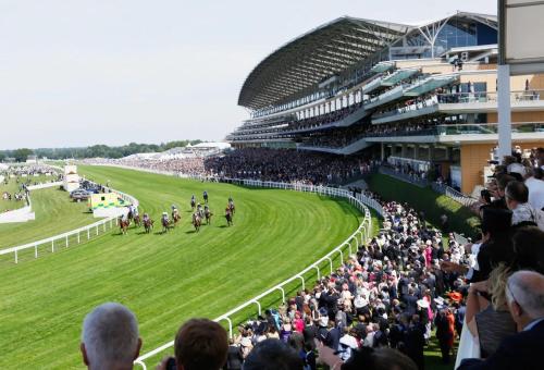 a crowd of people watching a horse race in a stadium at Grand Exchange near Ascot 2 bed with Parking in Bracknell