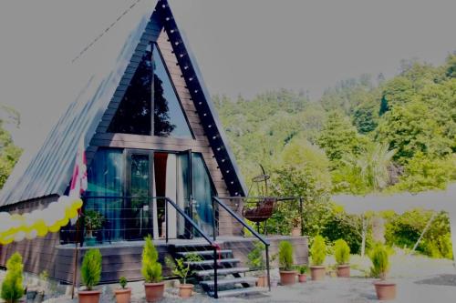 a house with a thatched roof with plants in front at Cottage Lemons In Gonio in Batumi