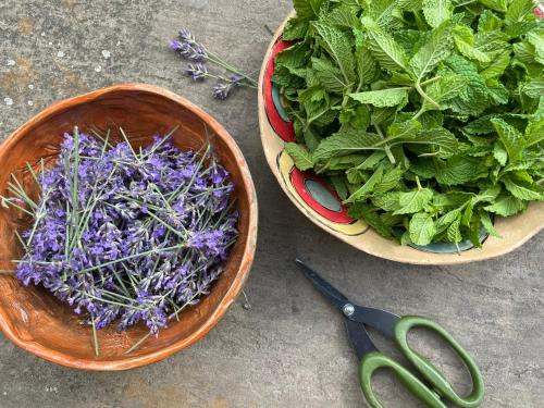 a pair of scissors sitting next to two bowls of greens at Na Bukovku in Těchlovice