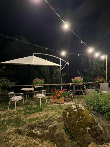 Zahrada ubytování Casetta nel bosco - L'Antico Metato