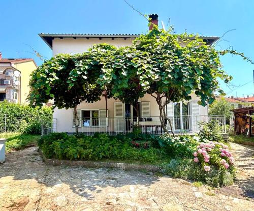 Studio Ugrin with Terrace