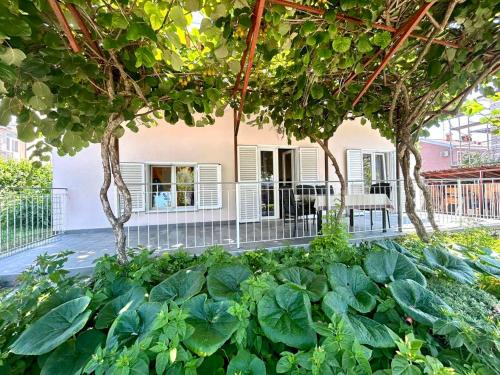 Studio Ugrin with Terrace