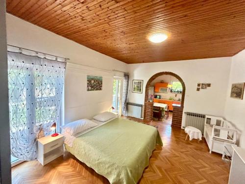 Studio Ugrin with Terrace