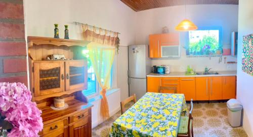 Studio Ugrin with Terrace