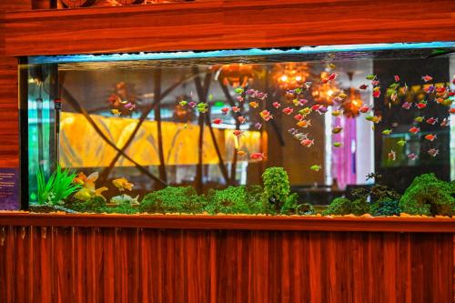 a fishtank filled with plants and a aquarium at Gold Majesty Hotel in Bursa