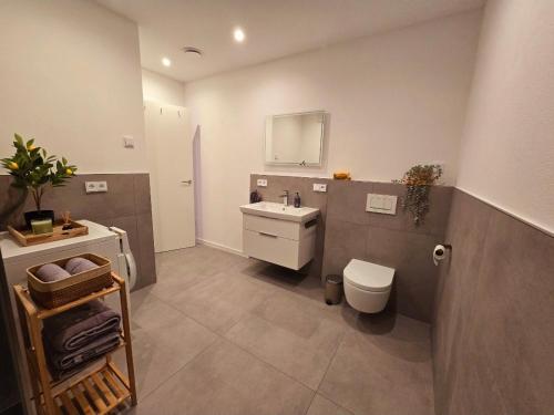 a bathroom with a sink and a toilet and a mirror at Ferienwohnung Oberreiter in Treis-Karden