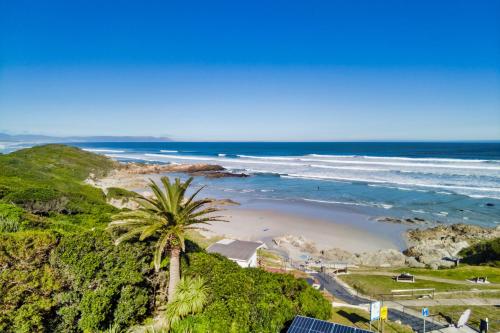 a beach with a palm tree and the ocean at Hermanus Beachfront Lodge - Solar Power in Hermanus