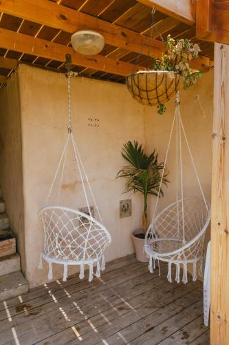 two swings hanging from a porch with a plant at שיח מדבר לינה בנגב Burning Bush Negev in Merhav Am