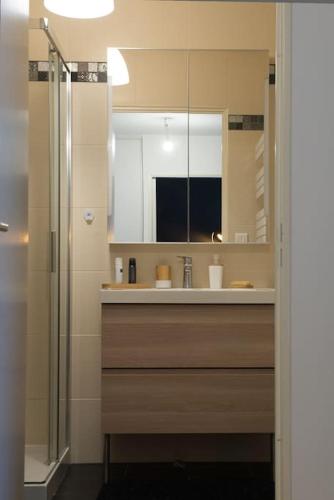 une salle de bain avec un lavabo et une douche avec un miroir dans l'établissement Chez Fany - Superbe appartement en résidence avec parking, à Metz