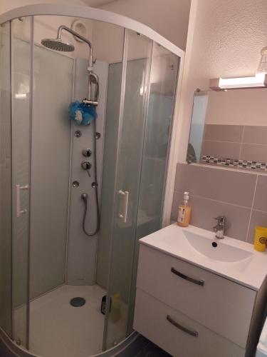 une salle de bain avec douche et lavabo dans l'établissement Studio cosy proche centre-ville Digne les bains, à Digne-Les-Bains