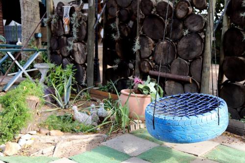 a blue tire sitting next to a potted plant at House of Perez in Wellington
