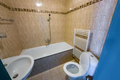a bathroom with a toilet and a sink and a shower at Pension Zámek Rudník in Rudník