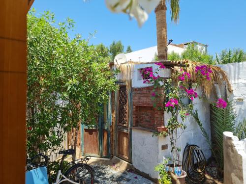 a house with flowers and a bike parked next to it at Andyvone at yvone in Dahab
