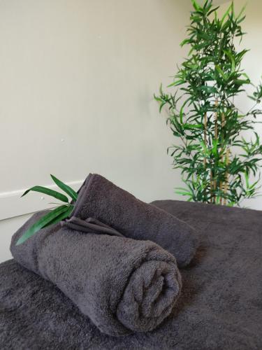 a towel sitting on top of a bed with a plant at Hôtel L'ile Du Saussay in Itteville