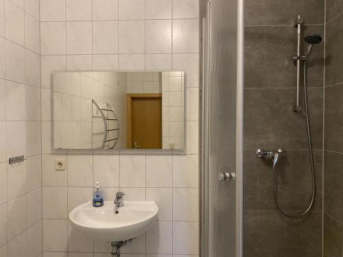 a bathroom with a sink and a shower with a mirror at Ferienhaus Schrammsteinblick in Schöna