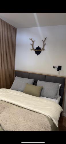 Gallery image of Apartman Bela Reka Ana C011, Kopaonik, Brzeće in Brzeće