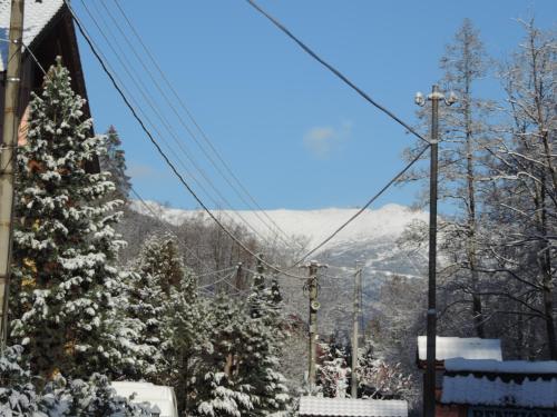 a snow covered christmas tree in front of a mountain at Penzión Dúhový Pstruh in Bystrá