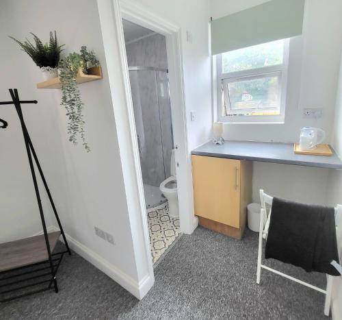 a bathroom with a toilet and a sink and a mirror at London En-suite Double Rooms - Leytonstone E11 in London