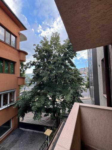 a tree on the balcony of a building at Guest House FAMILY in Plovdiv